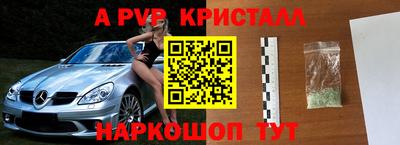ECSTASY Гудермес