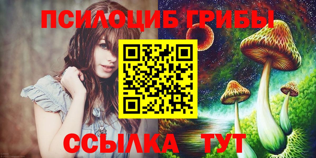 Галлюциногенные грибы Cubensis Будённовск