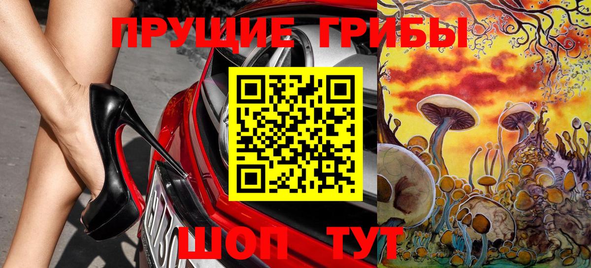 Будённовск  Галлюциногенные грибы мухоморы  Вход с VPN 